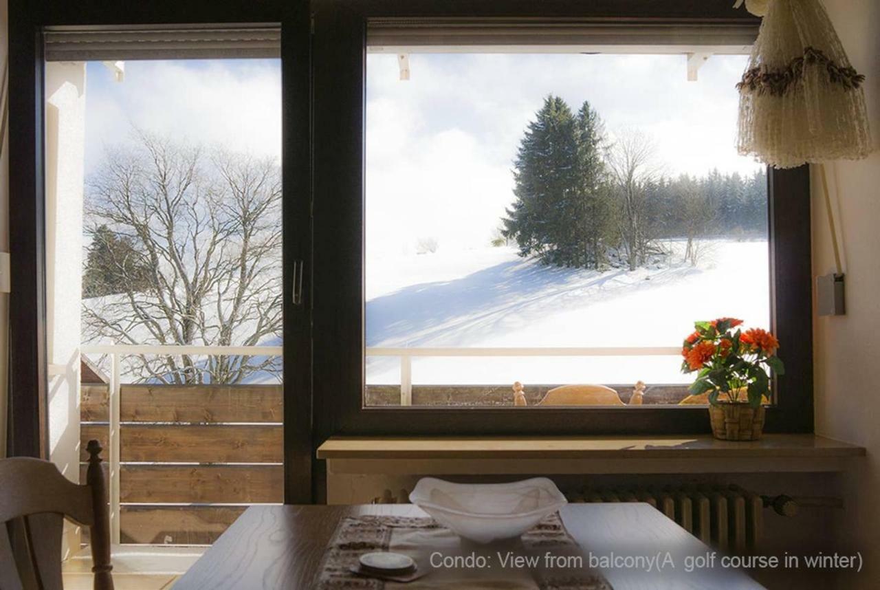 71 Square Meters In Schwarzwald With Beautiful Mountain View, Free Wifi Apartment Schoenwald im Schwarzwald