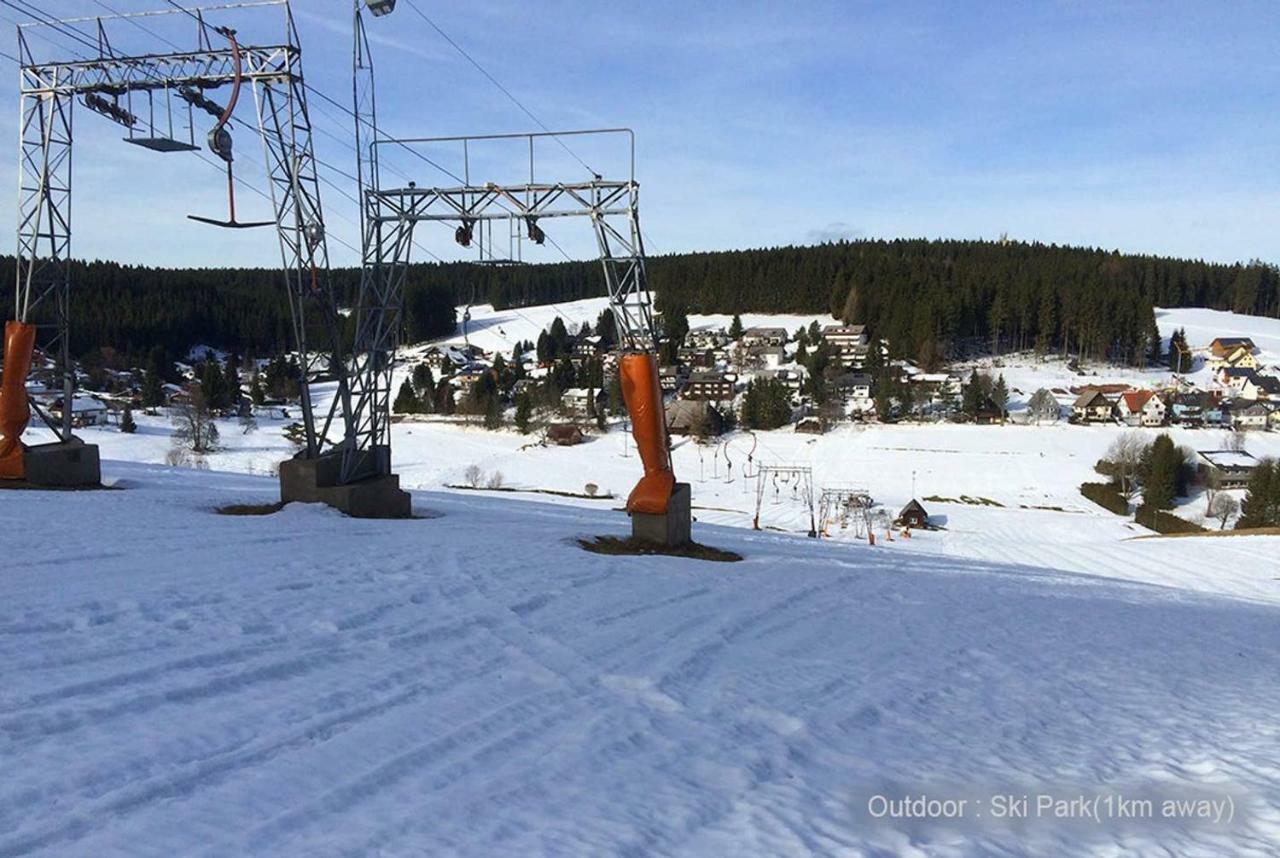 71 Square Meters In Schwarzwald With Beautiful Mountain View, Free Wifi Apartment